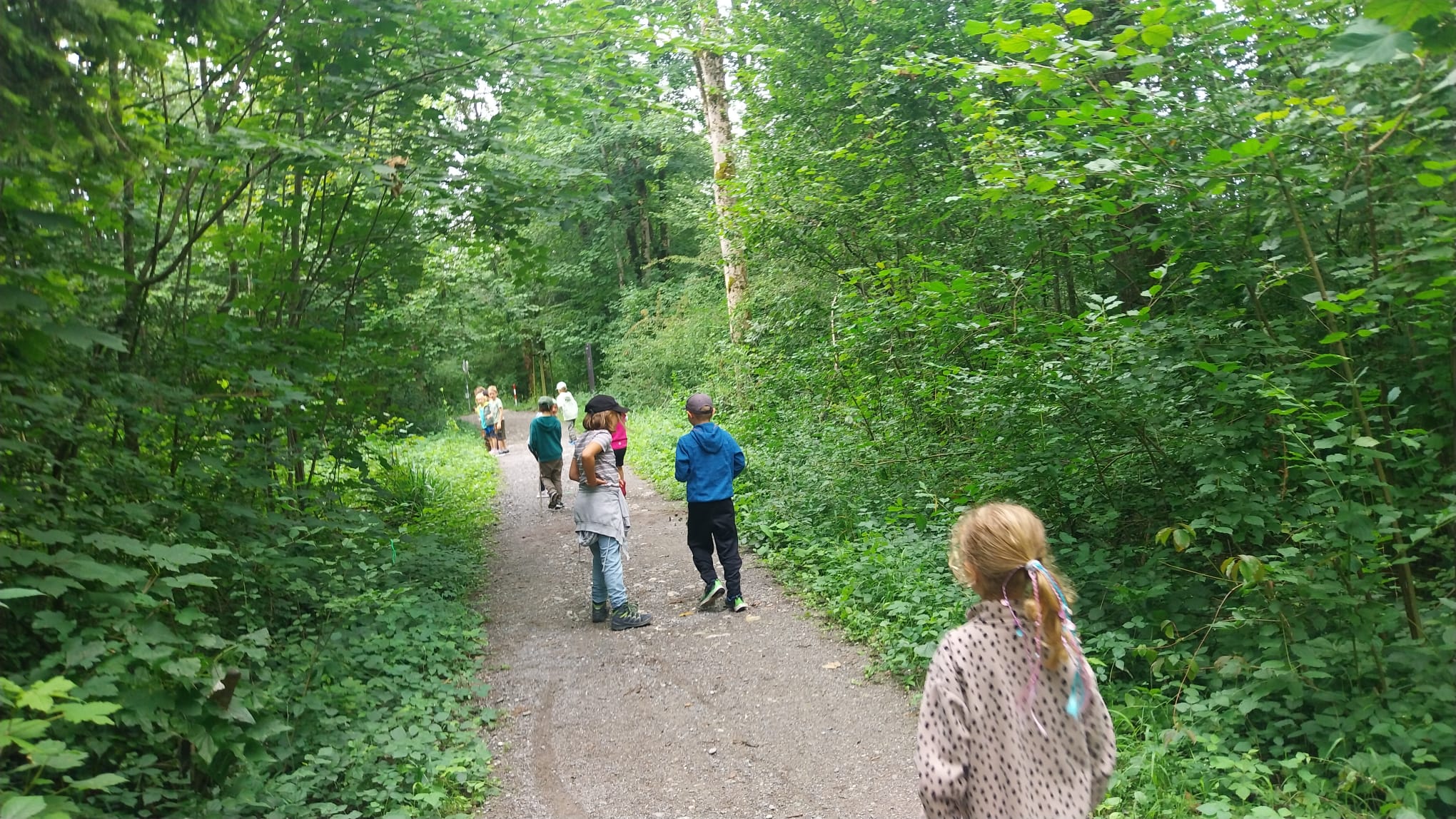 Wenn Kinder sich in der Natur austoben