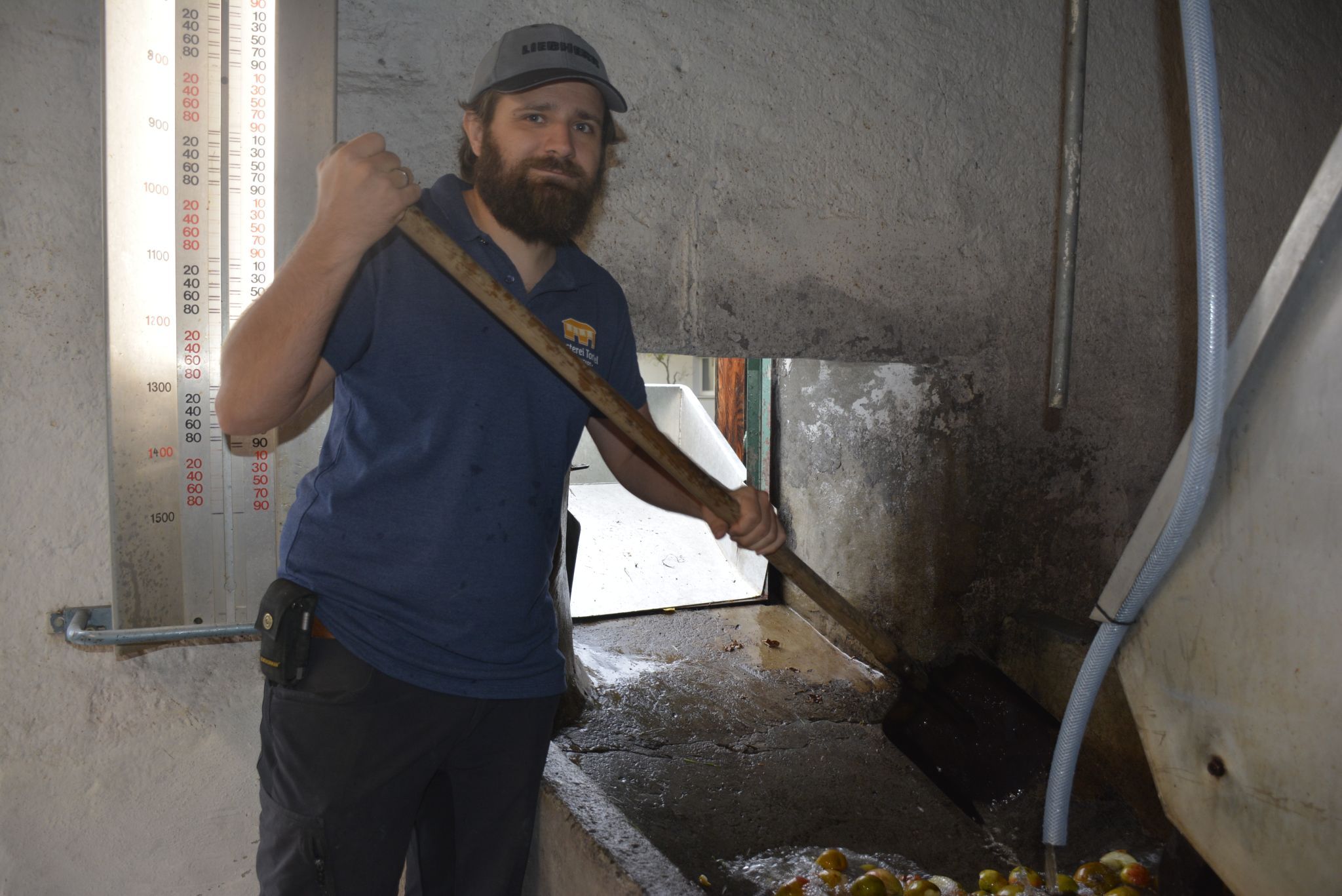 Traditions-Torkel erstrahlt nach umfassender Sanierung