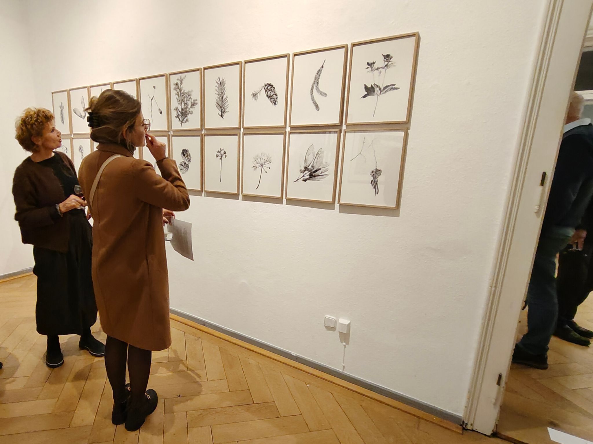 Kunstvolle Premieren im Fünferpack