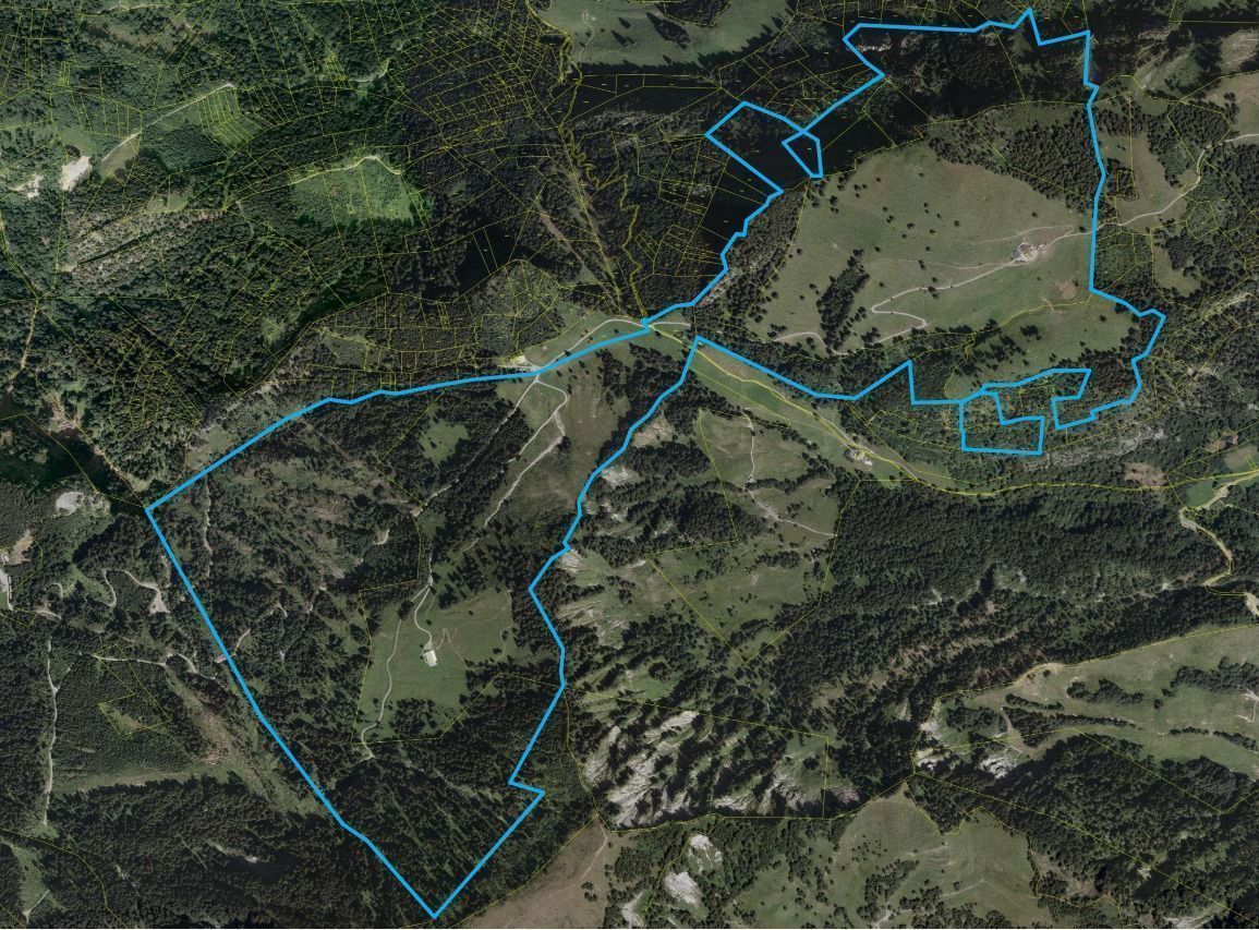 Neue Jäger bestellen Lustenaus Jagdrevier