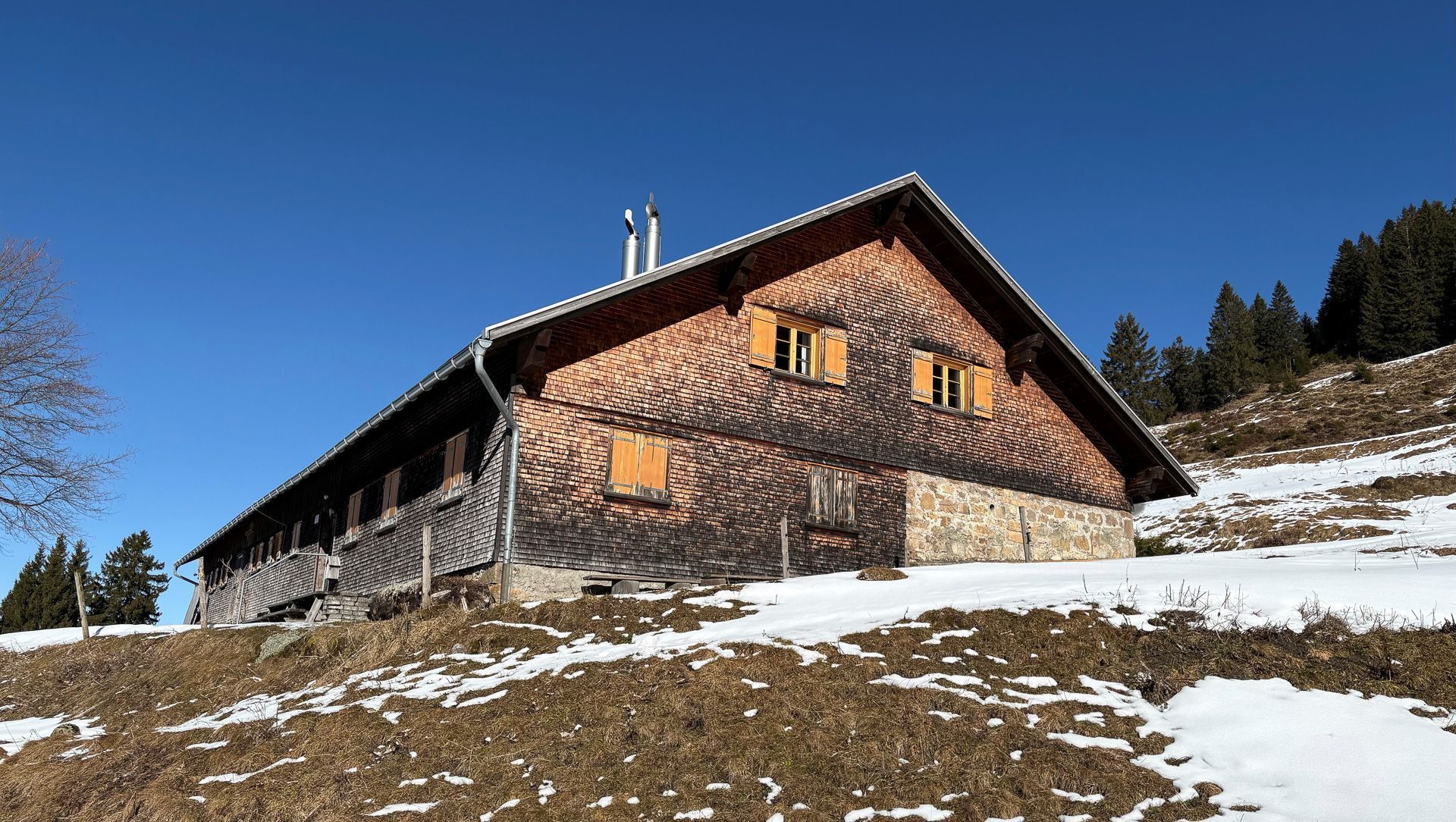 Neue Jäger bestellen Lustenaus Jagdrevier