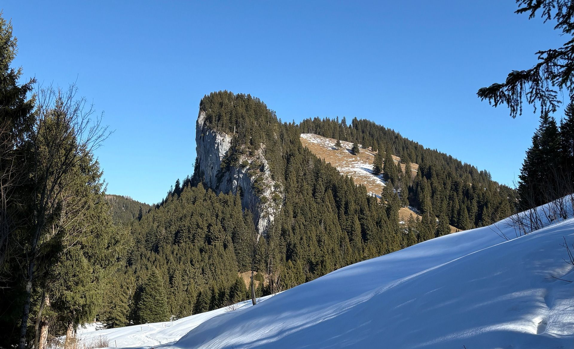 Neue Jäger bestellen Lustenaus Jagdrevier